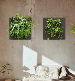 Begrünte Wandelemente indoor